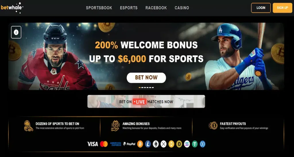 BetWhale sportsbook platform – fast crypto payouts and sharp betting lines